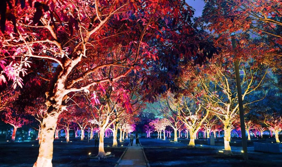 परिदृश्य प्रक्षेपण के लिए 36w आउटडोर रंग आरजीबी एलईडी उद्यान पेड़ बाढ़ प्रकाश