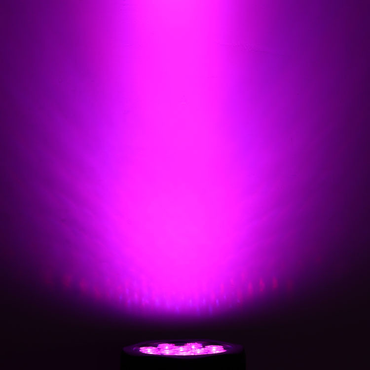 12*10W RGBW 4 इन 1 IP65 LED Par कैन स्टेज इवेंट शो लाइटिंग आउटडोर LED Par