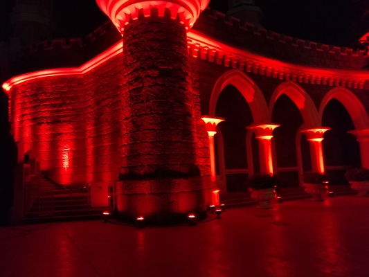 फैंटावाइल्ड कार्टून कैसल प्रोजेक्ट एलईडी स्टेज लाइट 82W एलईडी वॉल वॉशर स्पॉट लाइट बार के लिए